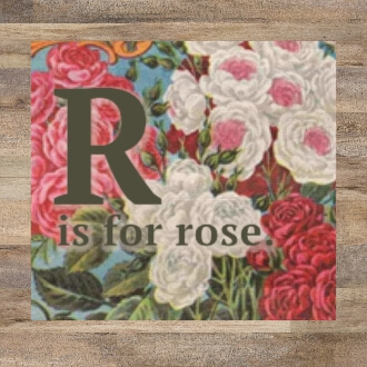 R is for Roses