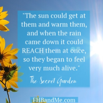 “The sun could get at them and warm them, and when the rain came down it could REACH them at once, so they began to feel very much alive.” Frances Hodgson Burnett wrote about the flowers in The Secret Garden